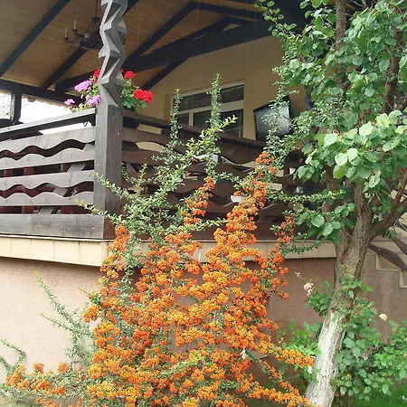 Pensiunea Indra